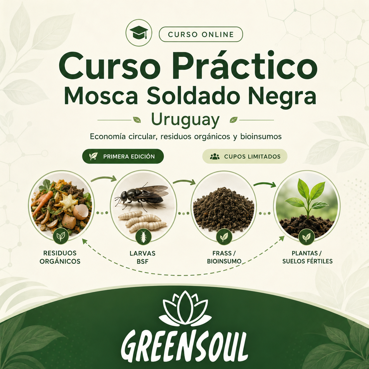 Portada del Curso Práctico de Mosca Soldado Negra en Uruguay de GreenSoul, sobre economía circular, residuos orgánicos, larvas BSF, frass y bioinsumos.